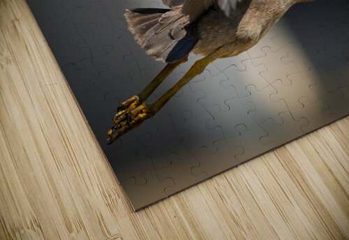 DSC08864 2 Edit 3 Razak Photography puzzle