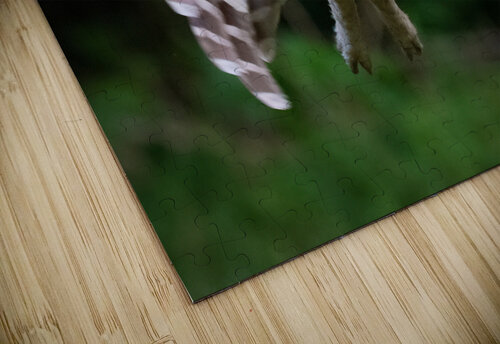 DSC07378 Edit 5 Razak Photography puzzle