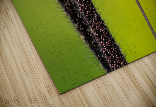 DSC03920 Edit Razak Photography puzzle