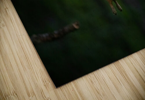 DSC05410 Edit Razak Photography puzzle