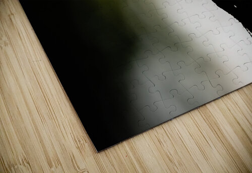 DSC05806 Edit Razak Photography puzzle