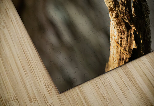 DSC05568 Edit Razak Photography puzzle