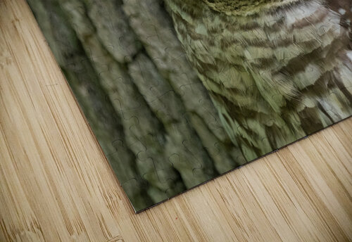 DSC02202 2 Edit Razak Photography puzzle