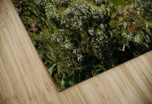 DSC03272 Edit Razak Photography puzzle