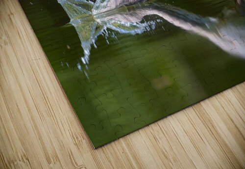 DSC06559 Edit Razak Photography puzzle