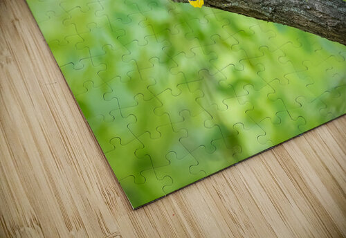 DSC04111 Edit 2 Razak Photography puzzle