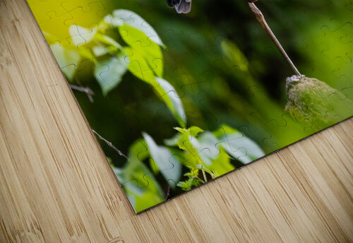 DSC06161 Edit Razak Photography puzzle