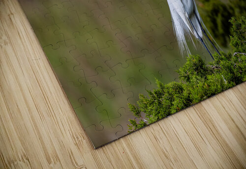 AC3Y6913 Edit Razak Photography puzzle