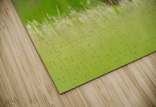 AC3Y7986 Edit Razak Photography puzzle