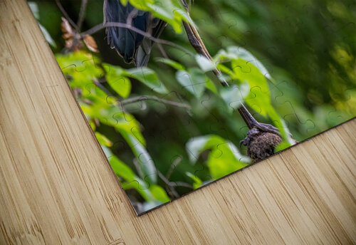 DSC06105 Edit Razak Photography puzzle
