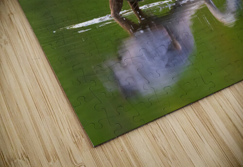 DSC07954 Edit 2 Razak Photography puzzle