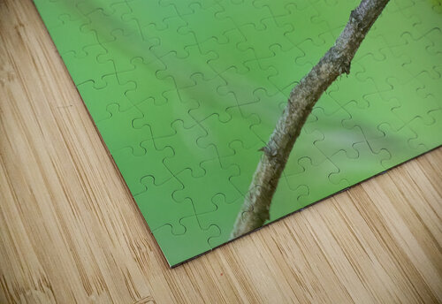 DSC04105 Edit Razak Photography puzzle