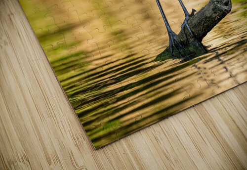 DSC07111 Edit Razak Photography puzzle