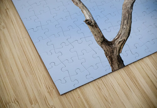 DSC06899 Edit Razak Photography puzzle