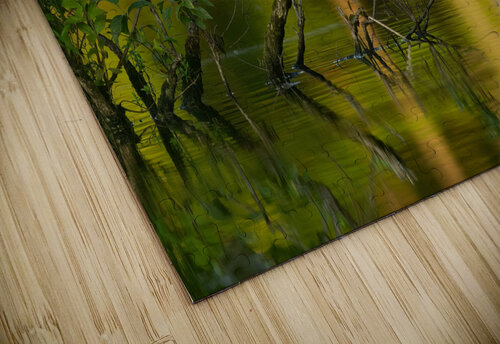 AC3Y9725 Edit 2 Razak Photography puzzle