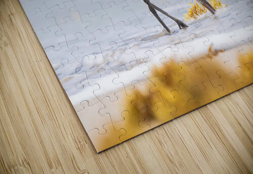 DSC01343 Edit 3 Razak Photography puzzle