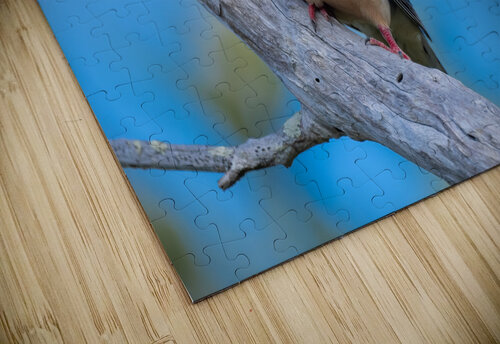 DSC05361 Edit Razak Photography puzzle