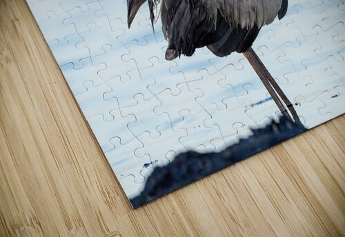 DSC04514 Edit Razak Photography puzzle