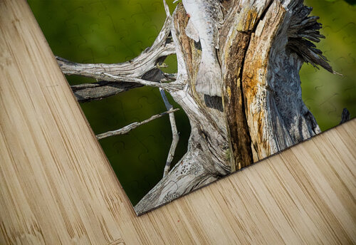DSC08554 Edit Razak Photography puzzle