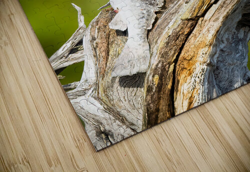 DSC08640 Edit Razak Photography puzzle