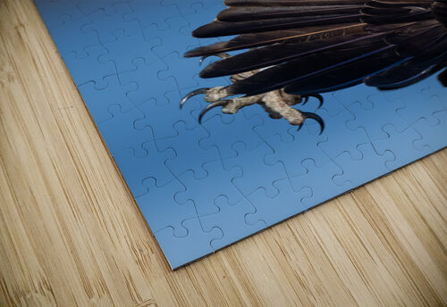 DSC00313 2 Edit 5 Razak Photography puzzle