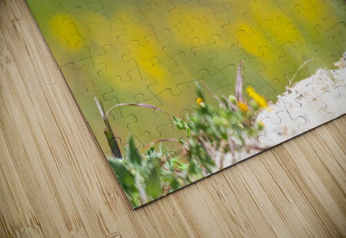 DSC05546 Edit Razak Photography puzzle