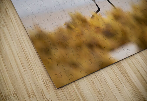 DSC00703 Edit Razak Photography puzzle