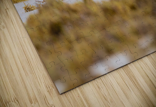 DSC00614 Edit 2 Razak Photography puzzle