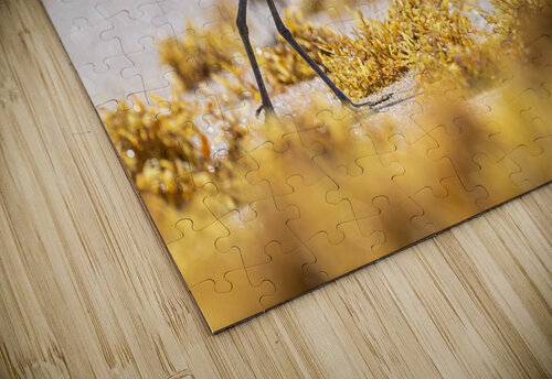 DSC00855 Edit Razak Photography puzzle
