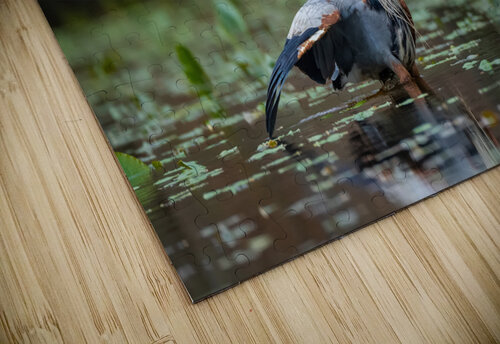 DSC06001 Edit Razak Photography puzzle