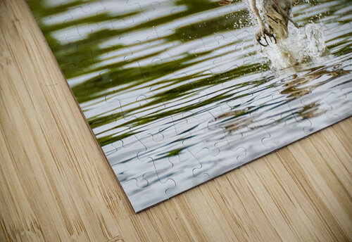 DSC08171 Edit Razak Photography puzzle