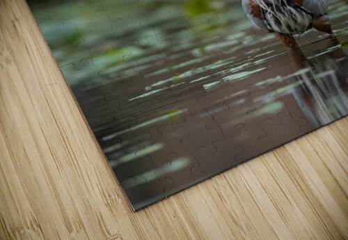 DSC06009 Edit Razak Photography puzzle