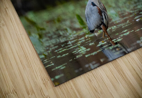 DSC05997 Edit Razak Photography puzzle