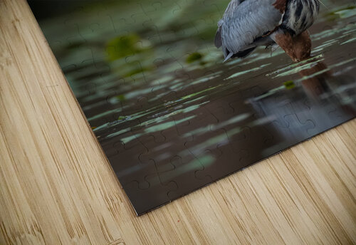 DSC06006 Edit Razak Photography puzzle
