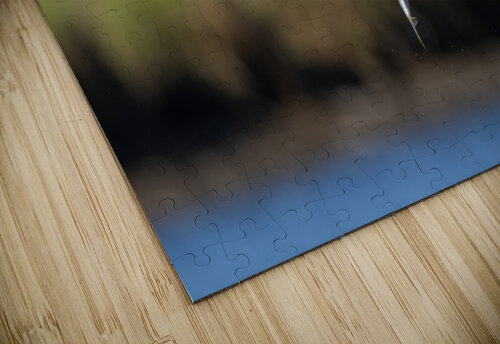 DSC08849 Edit Razak Photography puzzle