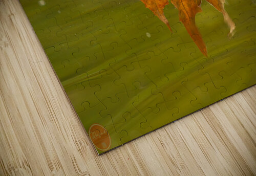 AC3Y5742 Edit Razak Photography puzzle