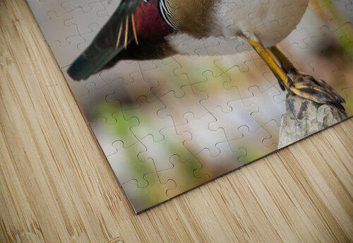 AC3Y5708 Edit Razak Photography puzzle
