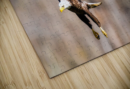 DSC01063 Edit Razak Photography puzzle