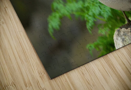 AC3Y3986 Edit 2 Razak Photography puzzle