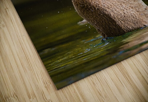 BM4A4026 Edit Edit Razak Photography puzzle