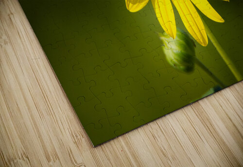  MG 5876 2 Razak Photography puzzle