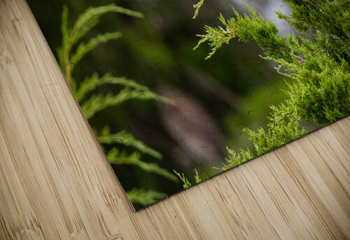  KM 0032 Razak Photography puzzle