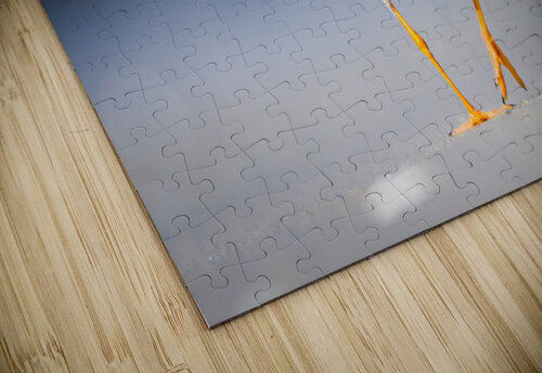  MG 3413 Razak Photography puzzle