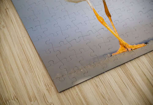  MG 3441 Razak Photography puzzle