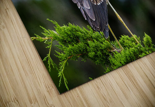  MG 2708 Edit Razak Photography puzzle