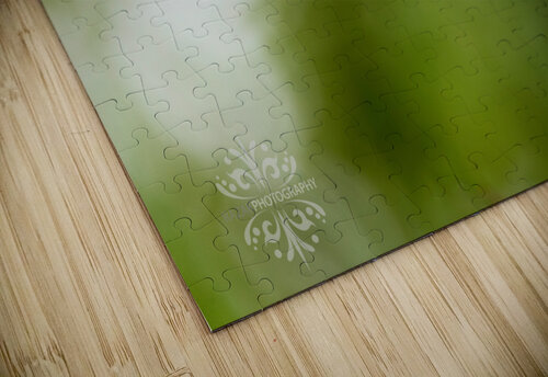  KM 0687 Edit 4 Razak Photography puzzle