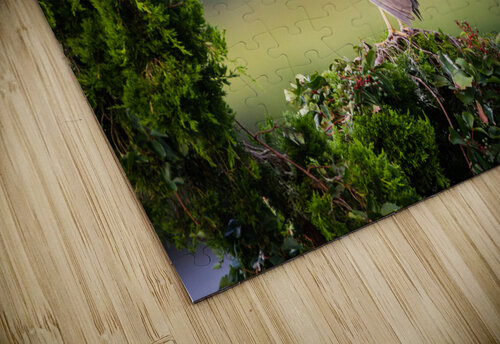  MG 2742 Razak Photography puzzle