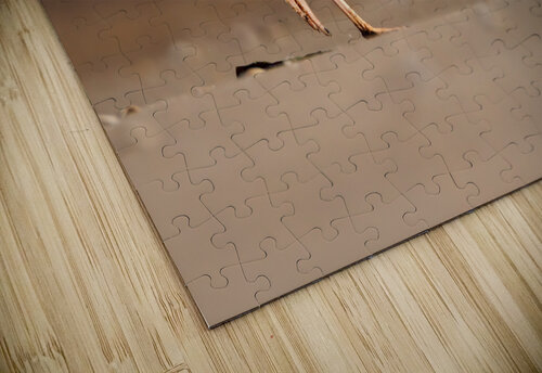  MG 5318 Edit 2 Razak Photography puzzle