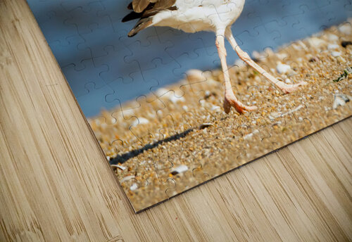  MG 5580 Edit Razak Photography puzzle