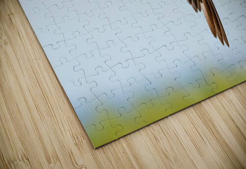  MG 5547 Edit 2 Razak Photography puzzle